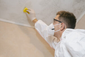 Mold Removal